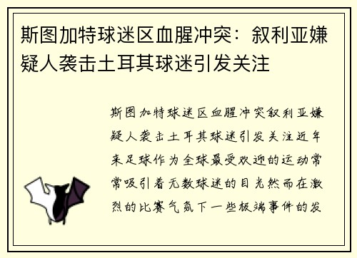 斯图加特球迷区血腥冲突：叙利亚嫌疑人袭击土耳其球迷引发关注