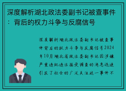 深度解析湖北政法委副书记被查事件：背后的权力斗争与反腐信号